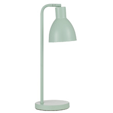 Pivot Iron Gooseneck Desk Lamp